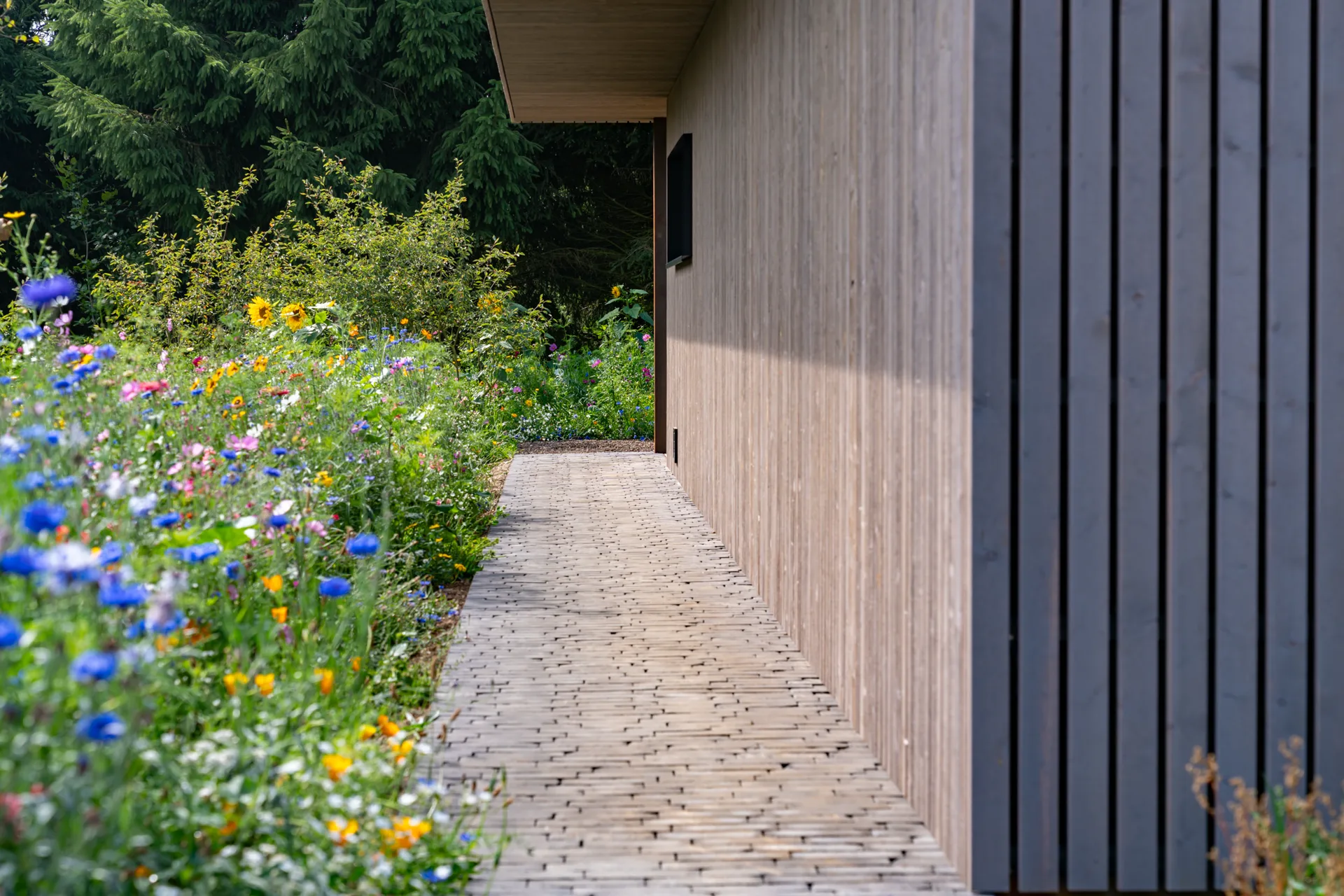 Chemin pavé menant à la villa à travers la prairie de fleurs sauvages