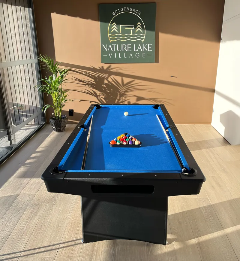 Table de billard sous l'enseigne Nature Lake Village