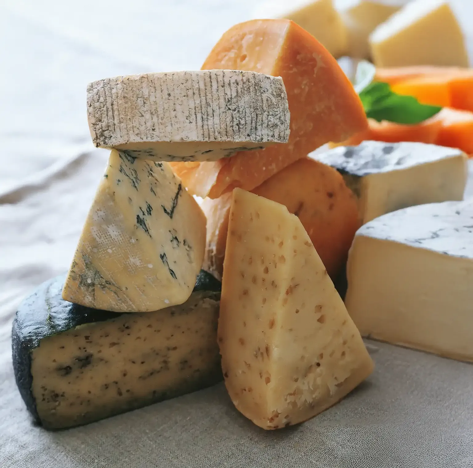 Auswahl handwerklich hergestellter Käsesorten, von Blauschimmel bis gereifter Rinde