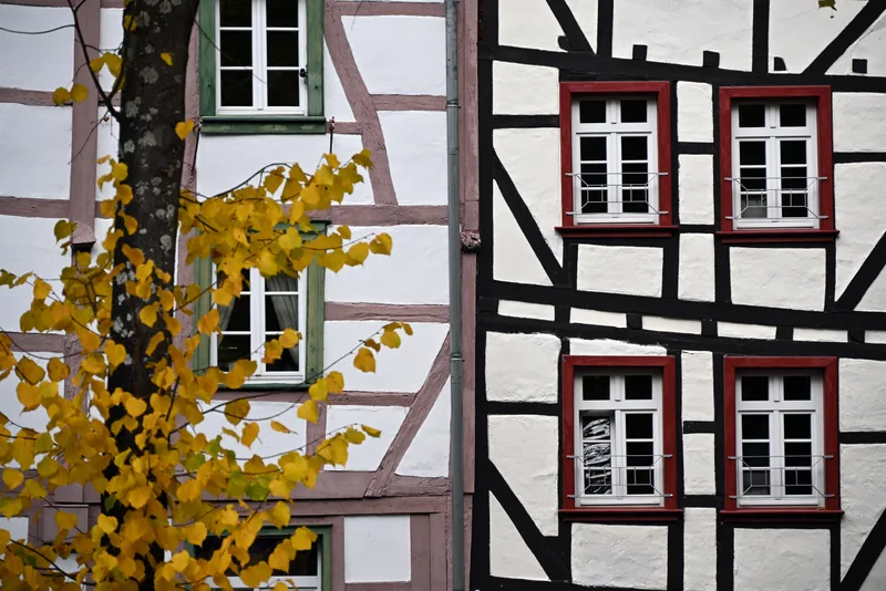 Fachwerkfassaden in Monschau hinter goldenem Herbstlaub