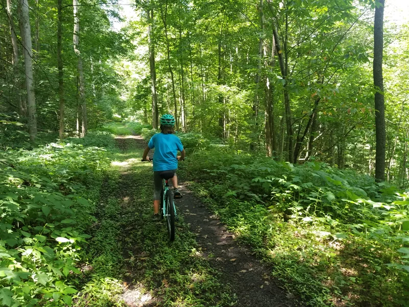 Junger Mountainbiker auf einem schattigen Waldweg im Sommer