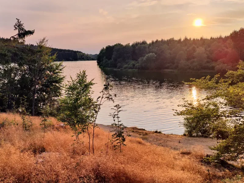 Der Bütgenbacher See in der Abendsonne, bewaldete Ufer