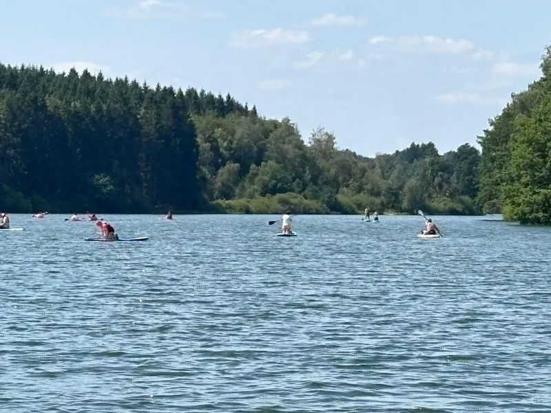 Meerdere suppers en kajakkers op het meer van Bütgenbach in de zomer, de beboste oever op de achtergrond