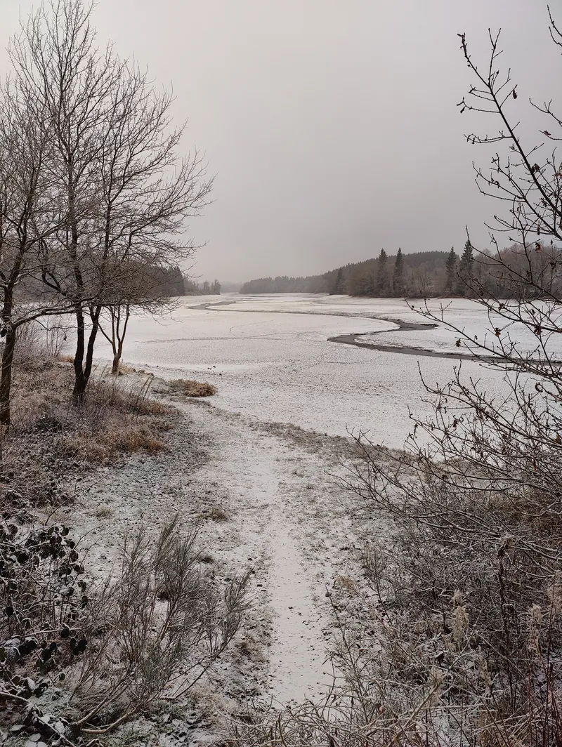 Besneeuwd pad naar de baai op een stille sneeuwdag