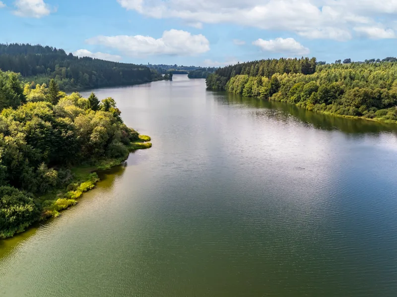 Luchtfoto van het meer van Bütgenbach op een zomerdag, beboste oevers onder een blauwe hemel