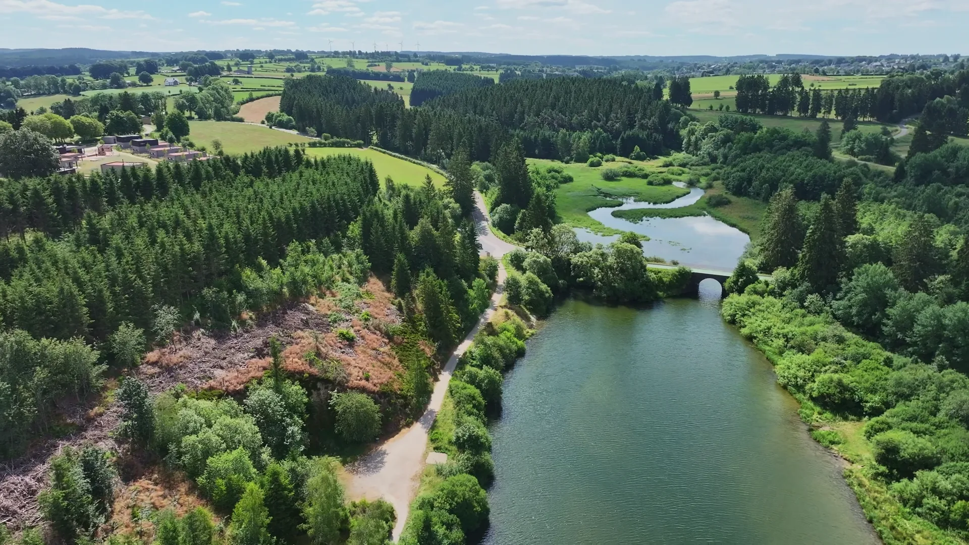 Vue aérienne du lac de Bütgenbach resserré autour d'un pont de pierre en arc, un hameau et des forêts alentour